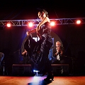 flamenco (111)